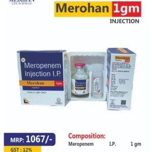 merohan 1gm injection